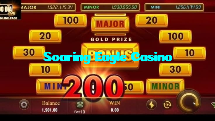 available types of Soaring Eagle Casino bet including pre-match live express and system bets